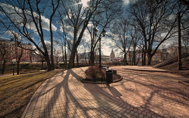 тени в паркеphoto preview