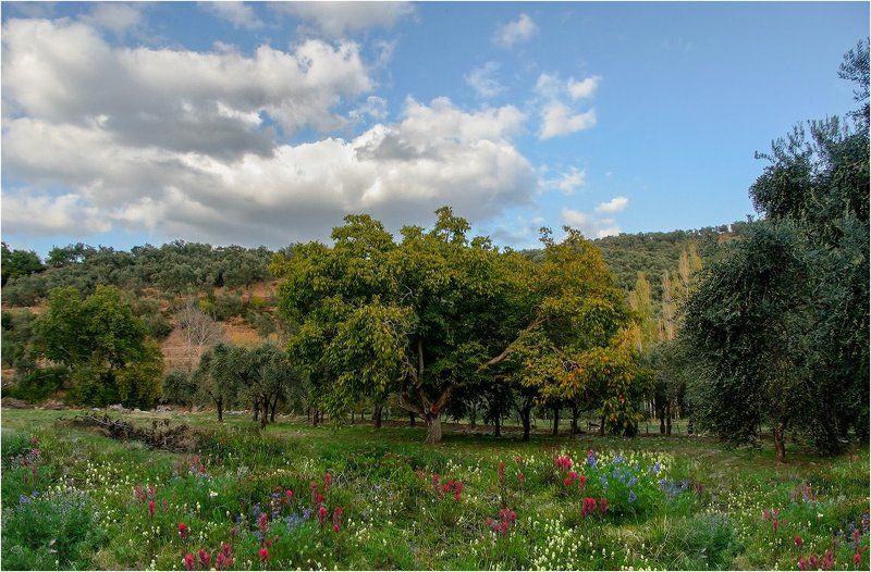 По Турцииphoto preview