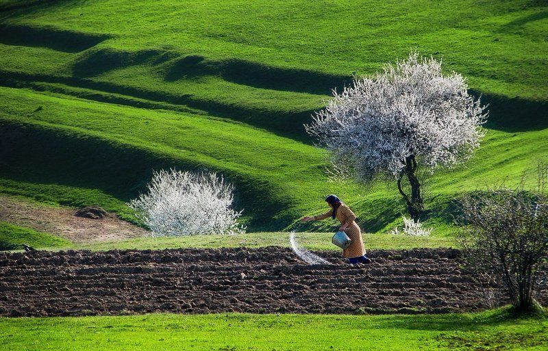 Земля моя, вместе с тобой дышать будем!photo preview