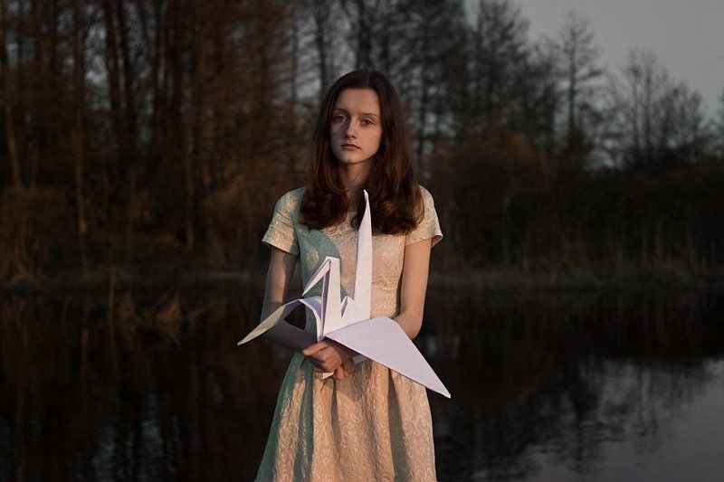 Журавликphoto preview