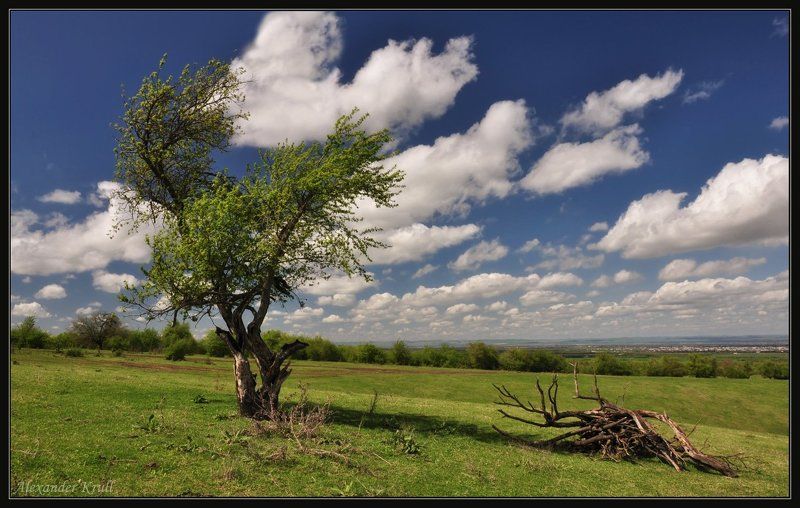 чечня О тленности всея бренного...photo preview