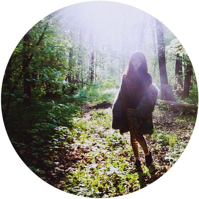 morning-nature-sunphoto preview