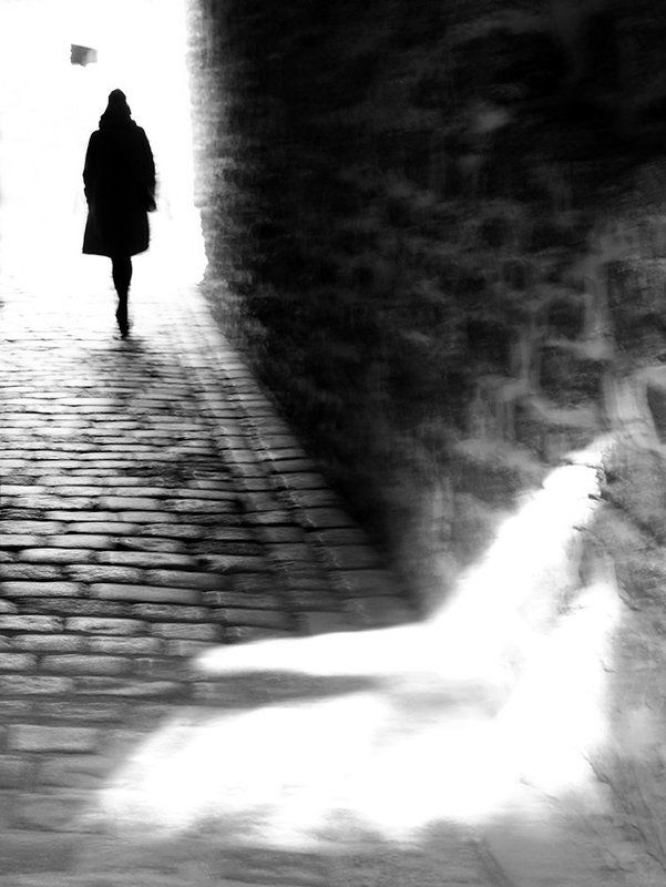 силуэт, таллинн ***photo preview