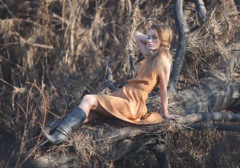 гламур, ветер, волосы, блики, секси, трава, солнце, солома Country Starphoto preview