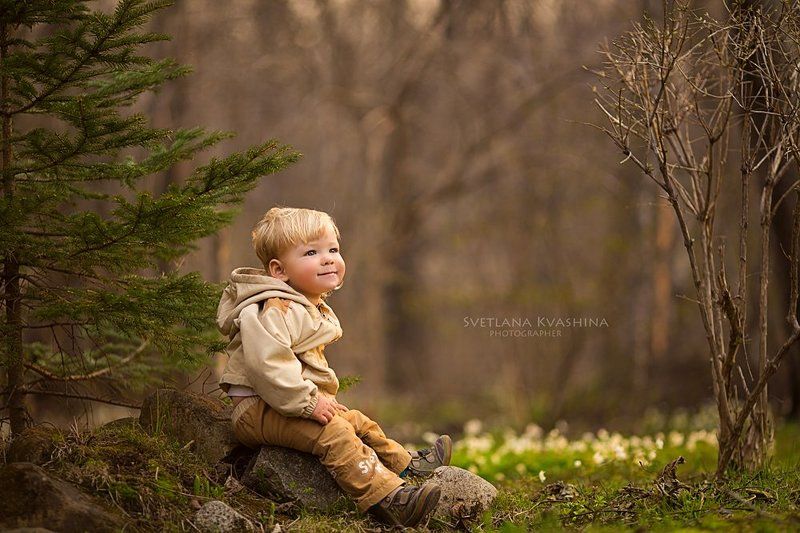 Слушая весенний лесphoto preview