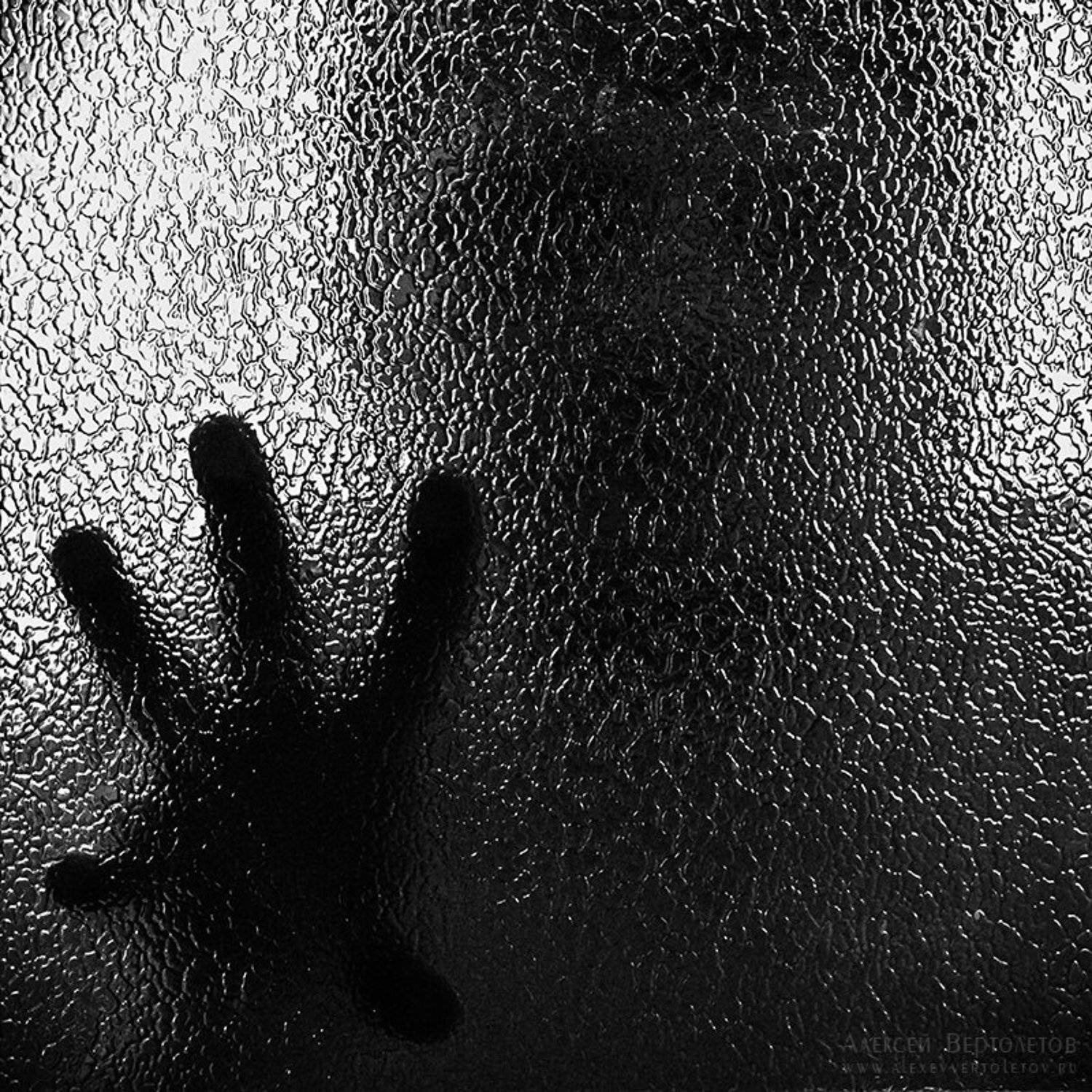 , Алексей Вертолетов