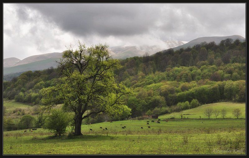 дагестан Пограничное состояние...photo preview