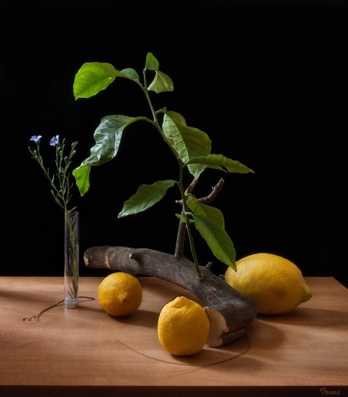 лимон photo preview