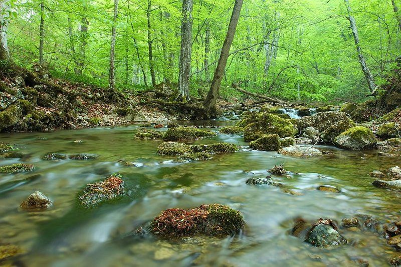 крым, река, бурульча На Бурульчеphoto preview