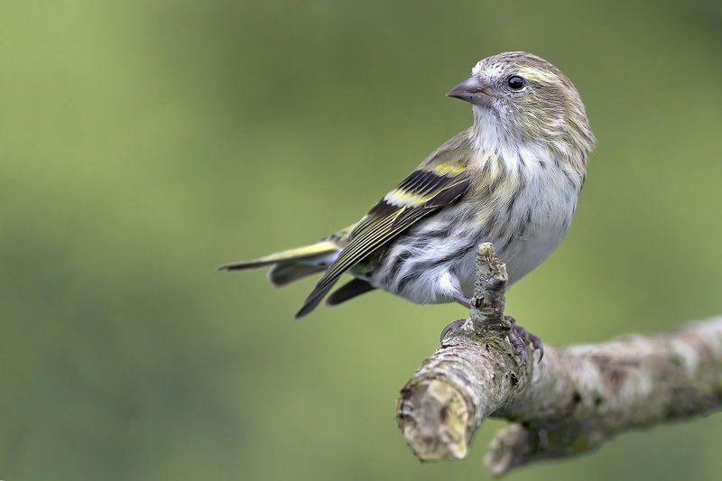 10 photosphoto preview