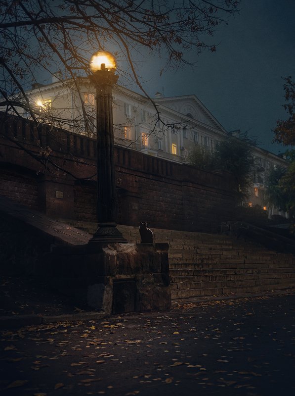 город, архитектура, ночь, улица Кот бегемотphoto preview