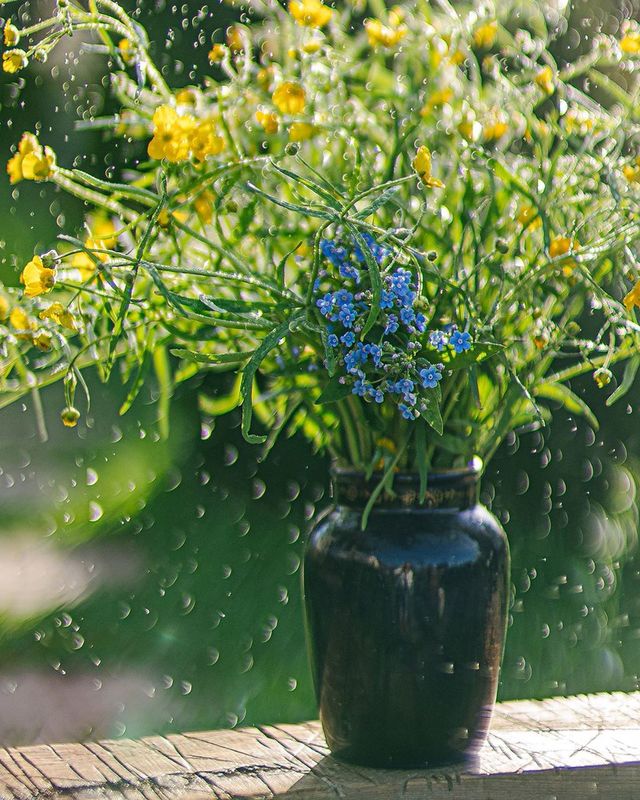 букет, цветы, желтый зеленый, свет photo preview