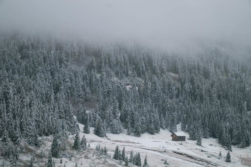 #nature, #туман, #лес, #oсень, #украина, #карпаты, #пейзаж, #закат, #туман, #солнце, #свет, #mountain range, #mountains, #туризм, #лес, #nature, #природа, ***photo preview