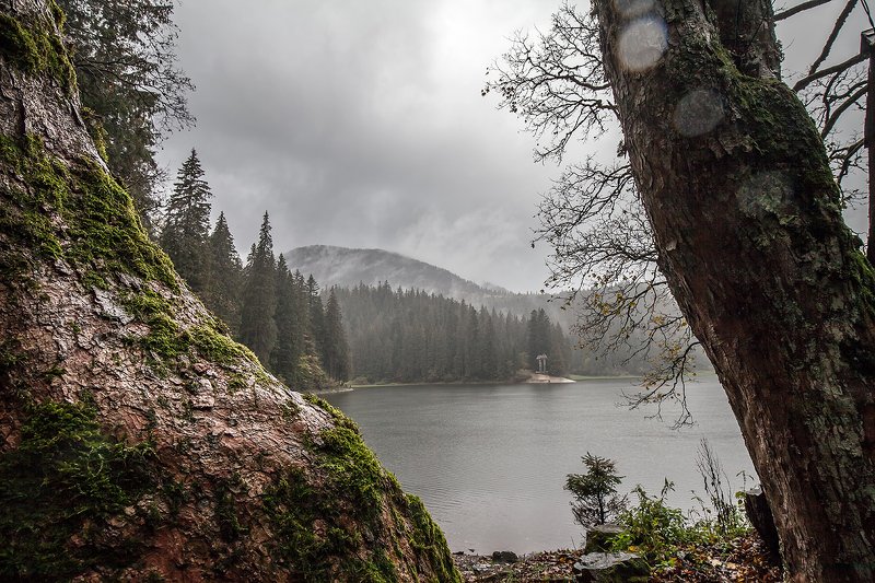 Озеро Синевир, Карпаты,  Carpathian,  Carpathian Mountains, Synevyr lake Озеро Синевирphoto preview