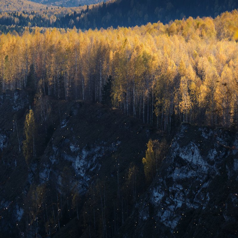 осень, листопад, березы, скалы Листопадphoto preview