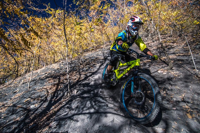 Золото Осениphoto preview