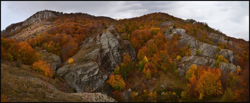 Джурла осенняя фото превью