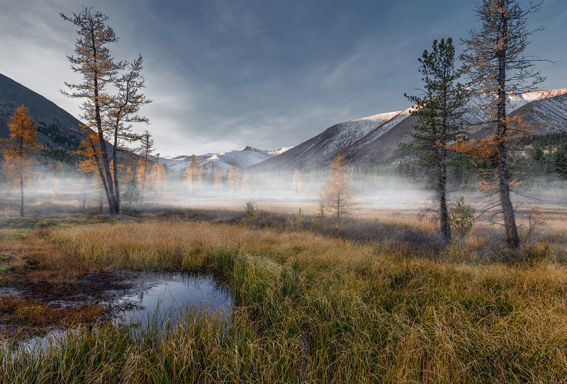 сибирь, хакасия, горная хакасия, заказник позарым, пейзаж Горная Хакасияphoto preview