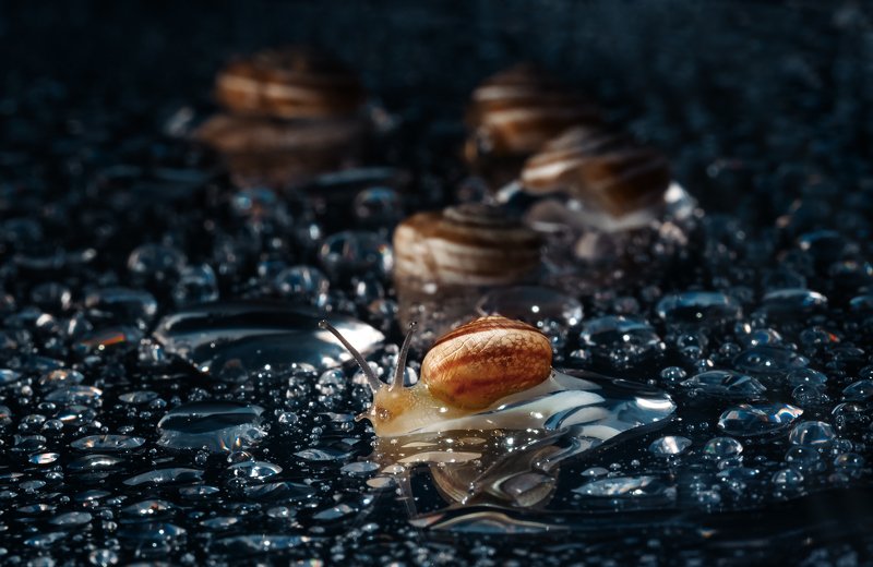 Goodbye familyphoto preview