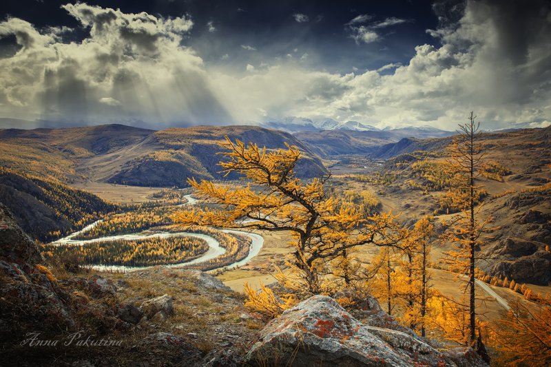 алтай, пейзаж, осень, altai, allay Алтайская симфонияphoto preview