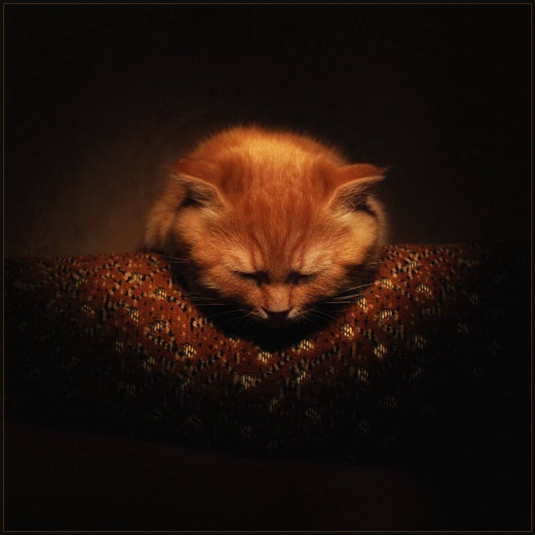 СОН... Автор: Александр Хромеев , Александр Хромеев