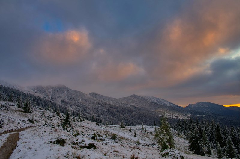 #nature, #туман, #лес, #oсень, #украина, #карпаты, #пейзаж, #закат, #туман, #солнце, #свет, #mountain range, #mountains, #туризм, #лес, #nature, #природа, Мармароський масивphoto preview