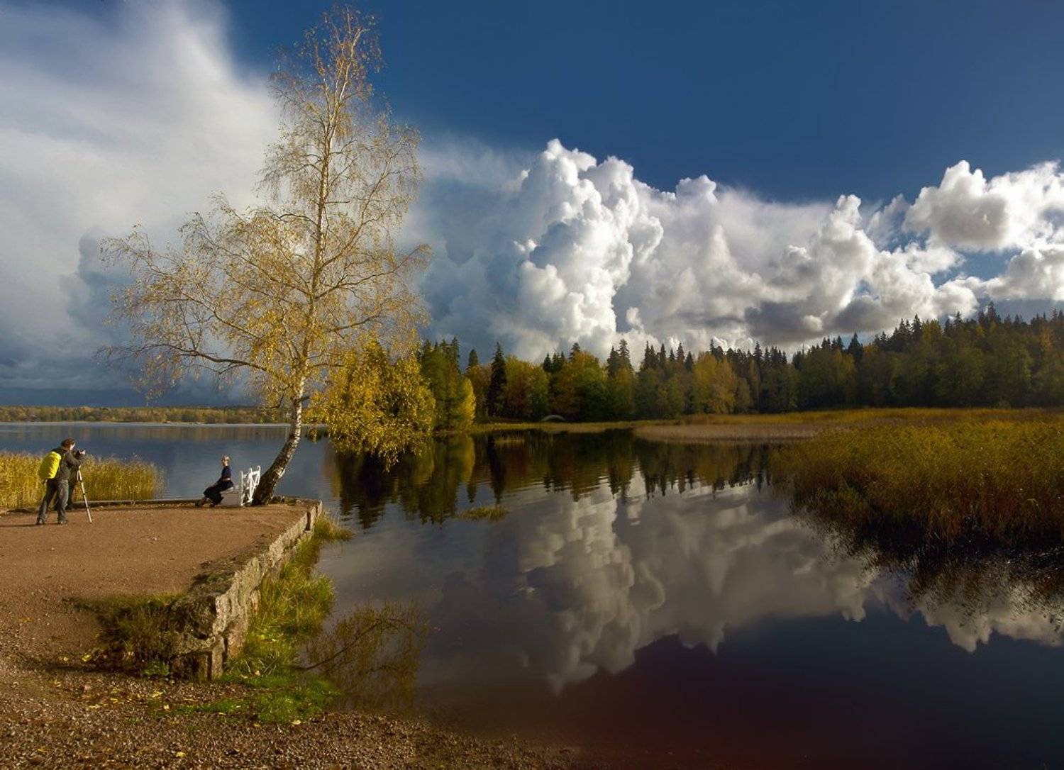Ты сними . . .. Автор: Таня SHE (Aiya) выборг, монрепо, паркмонрепо, пейзаж, landscape, tsarskoyeselo, autumn, Таня SHE (Aiya)
