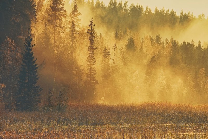 Осеннее утроphoto preview