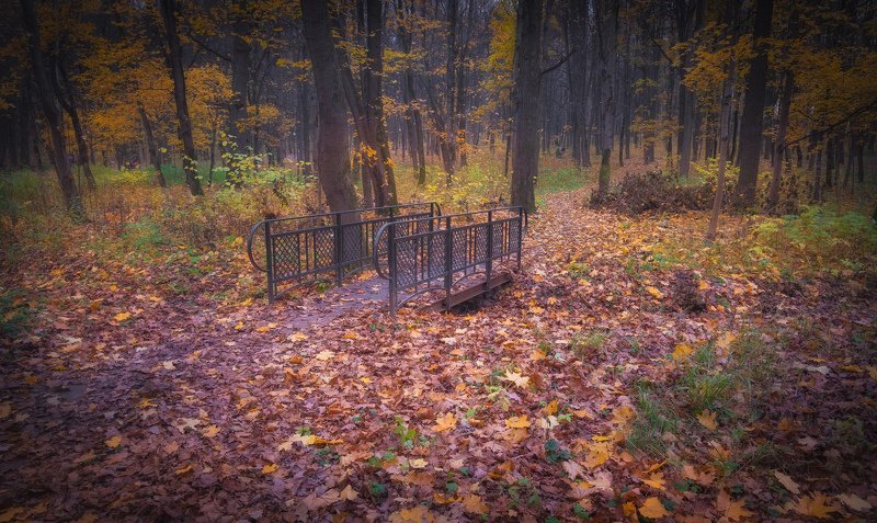 Парк. 31 октября.photo preview