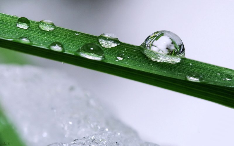 Выпал первый снег...(Индустар 50-2)photo preview