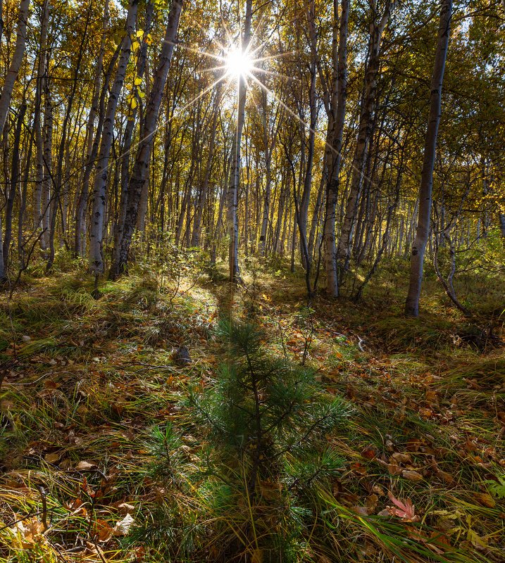 Камчатка, фото превью