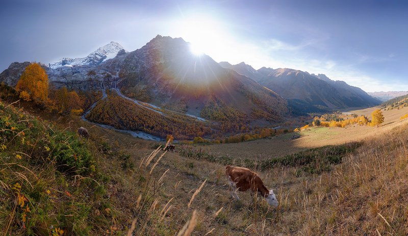 кавказ, архыз, осень Осень на Софийских водопадах фото превью