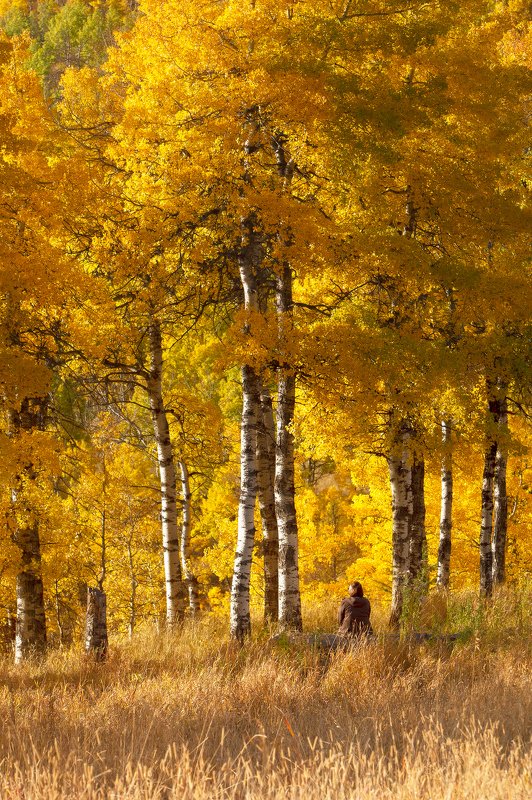 осень ЯНТАРНОЕ НАСТРОЕНИЕphoto preview