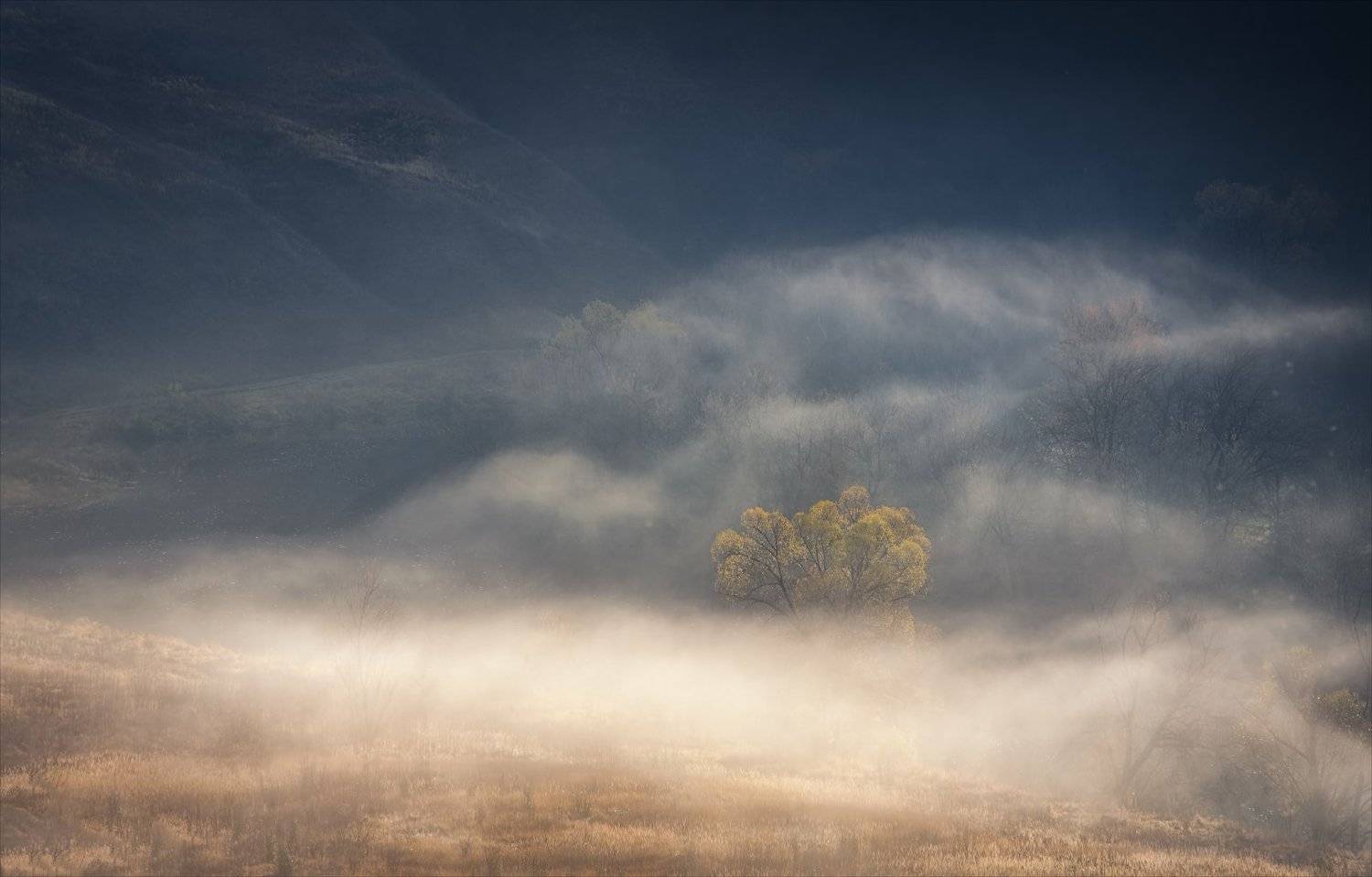 , Алексей Богорянов
