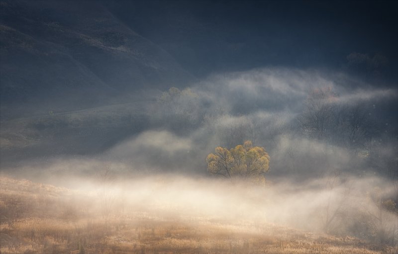 Солнечный ветер.photo preview