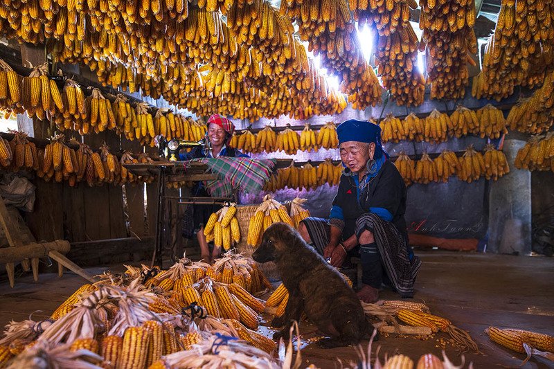 #sellingphoto #happy Happy Homephoto preview