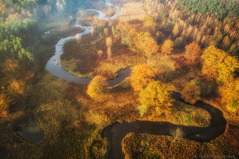 landscape, poland, light, autumn, awesome, amazing, sunrise, sunset, lovely, nature, travel, morning, trees, drone, river, meandering, dji, mavic Autumnphoto preview