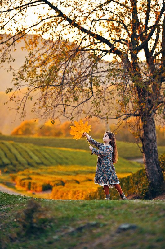 осень Последний листочекphoto preview