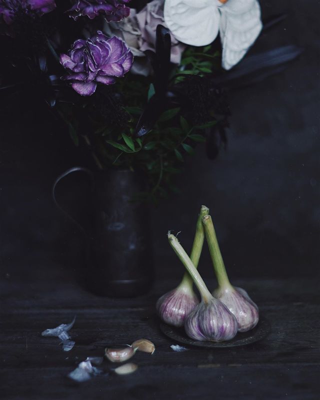 натюрморт, чеснок, фиолетовый photo preview