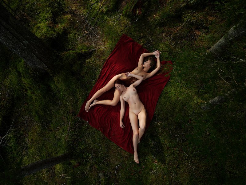 Red carpetphoto preview