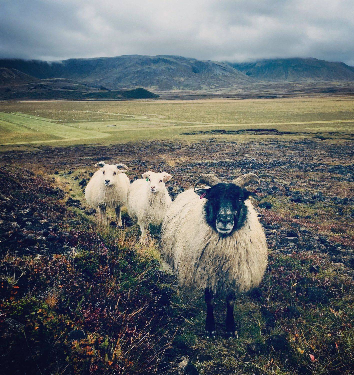 Inspired by Iceland. Автор: Ксения , Ксения