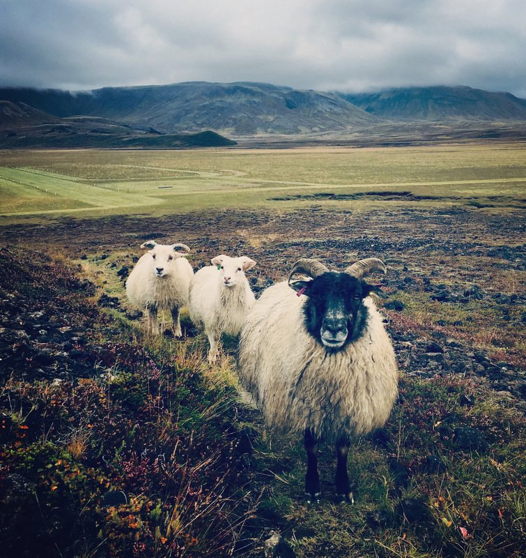 Inspired by Icelandphoto preview