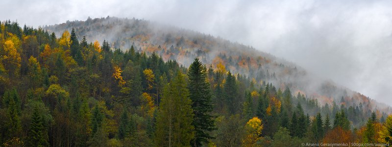 carpathians, carpathian mountains, pasture, countryside, picturesque, pine, tranquil, wood, rural, mountains, foliage, wonderland, land, meadow, field, scenic, tourism, season, house, autumn, mountain, landscape, fall, background, beautiful, tree, outdoor Fog over forests and hills in Carpathian Mountains in autumn, Ukrainephoto preview