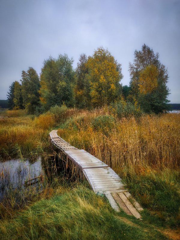 Дорожка в осеньphoto preview