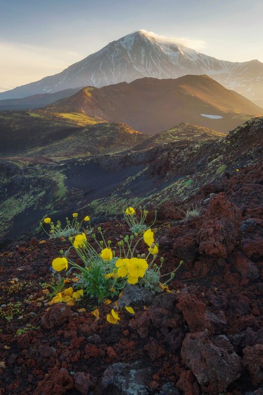 камчатка,толбачик,рассвет,вулкан маки на шлакеphoto preview