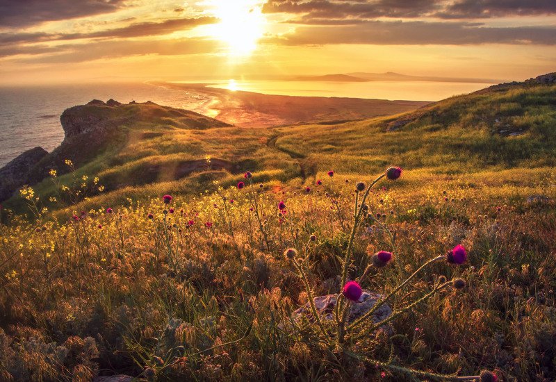 крым, пейзаж, закат Сидя на красивом холмеphoto preview