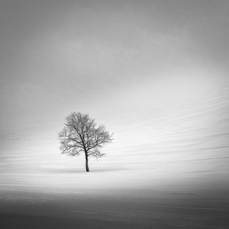 Зимний пейзажphoto preview