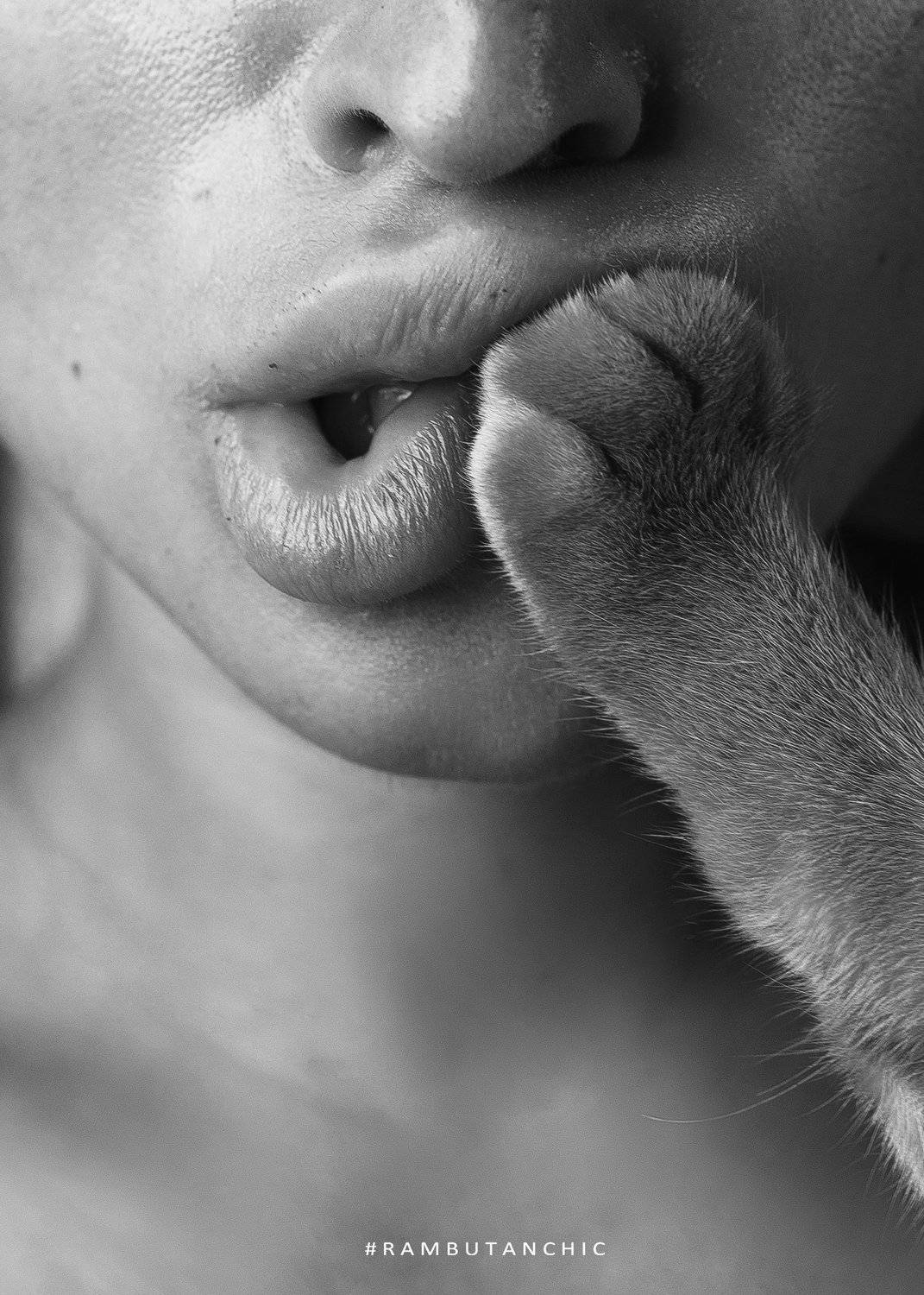 L A B I O S. Автор: Владимир Трофименко , Владимир Трофименко