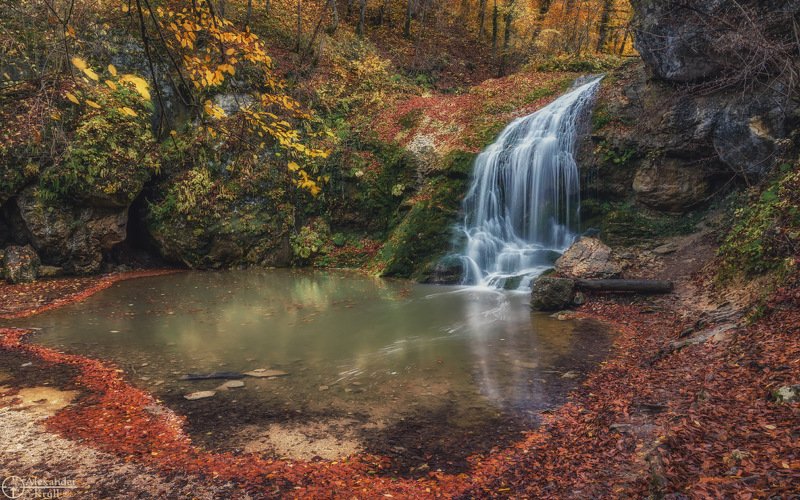 С осенним Шумом...photo preview