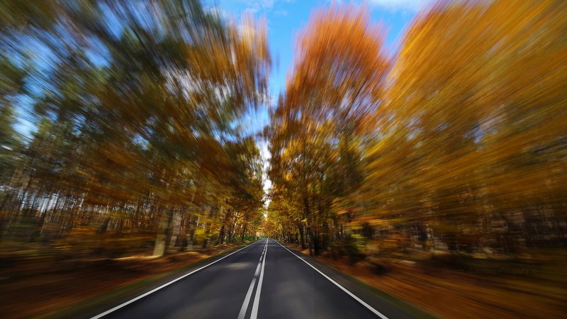 Jesieńphoto preview